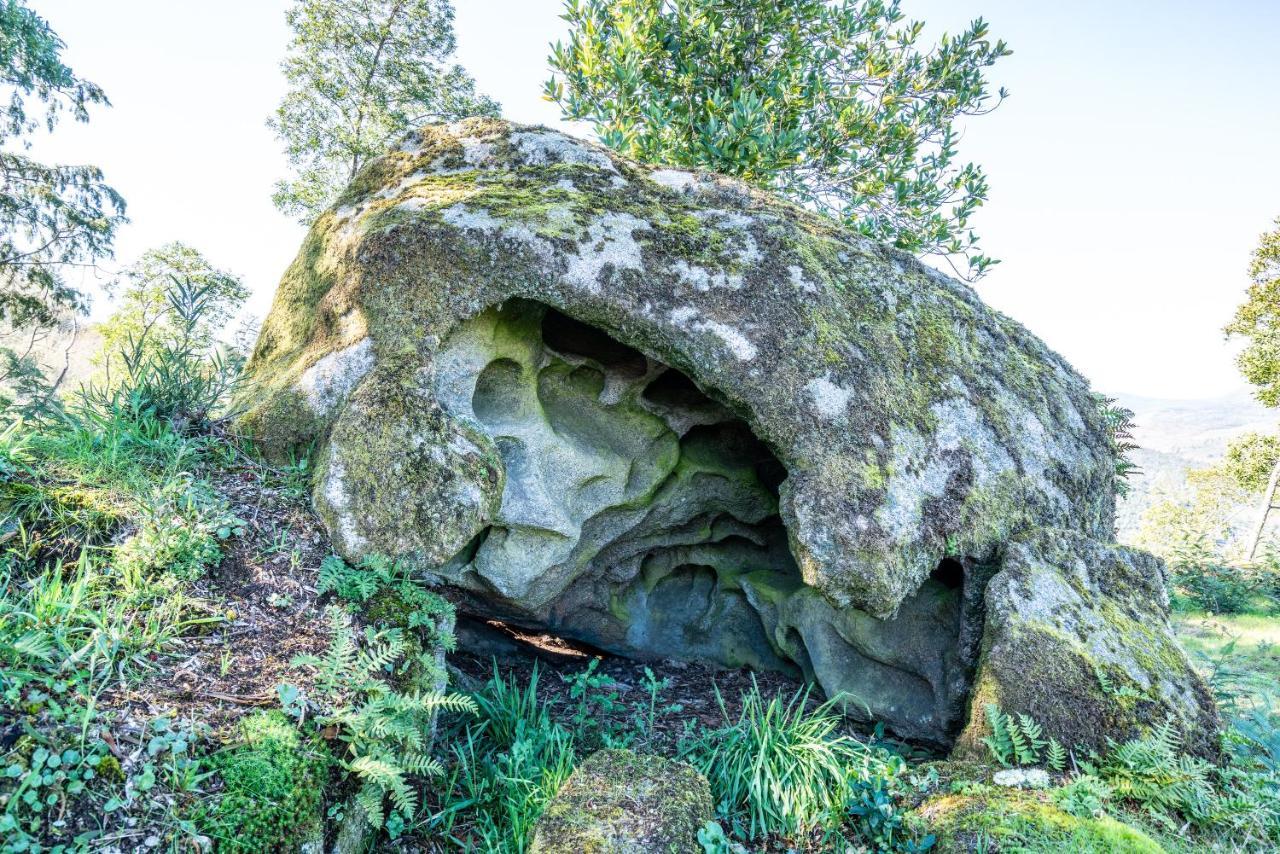 Quinta Das Lamas - Antiga Adega Vouzela Esterno foto